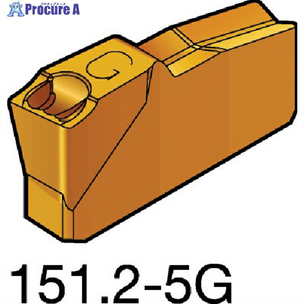 SANDVIK T-Max Q-カット 突切り・溝入れチップ(310) 1125 N151.2-200-20-5G 1125 (310) 10個 ▼609-8681 ●KO521