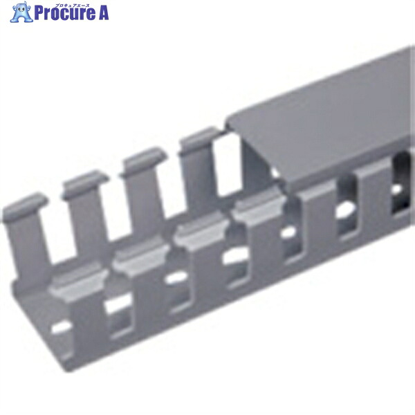PANDUIT NNCタイプ配線ダクト変性PPHOX製ノンハロゲンライトグレー37.1×35.6 2M(メートル) 1本 NNC37X37LG2 1本 ◇▼731-4868 ※車上渡し