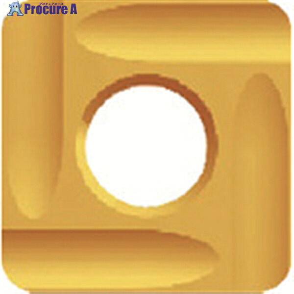 富士元 フェイス加工用Nタイプ精密級チップ 超硬M種 TiN NK3030 N43GUR NK3030 12個 ▼796-5907 |プロキュアエース