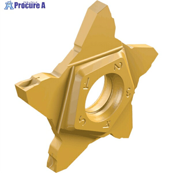 イスカル ペンタカット チップ PENTA 24R-C IC1008 PENTA 24R200C06D IC1008 5個 ▼110-8729 ●O585