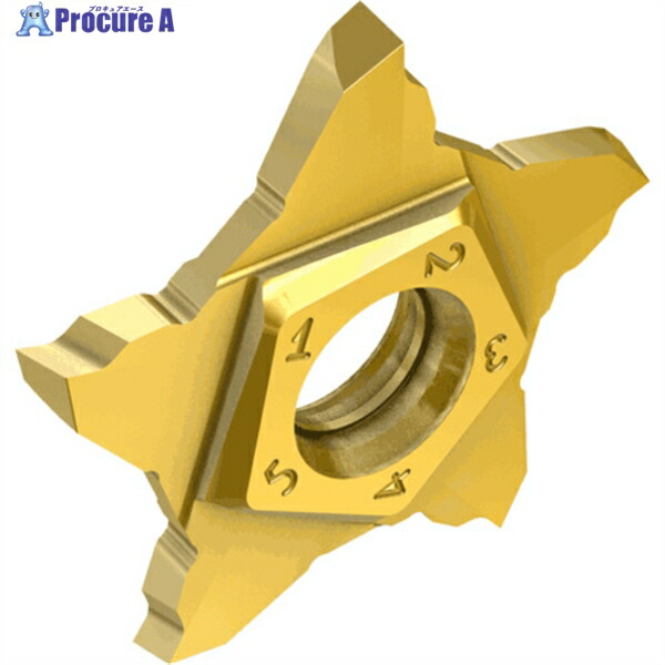 イスカル ペンタカット チップ PENTA 24R-P IC1008 PENTA 24R100P15D IC1008 5個 ▼111-1939 ●O585