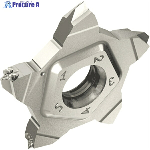 イスカル ペンタカット チップ PENTA 24-ISO IC908 PENTA 24-0.75-ISO IC908 5個 ▼111-1963 ●O585