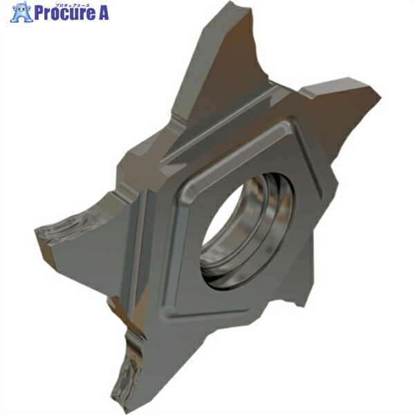 イスカル ペンタカット チップ PENTA 24R/L-Z IC1008 PENTA 24R150Z15D IC1008 5個 ▼111-2003 ●O585