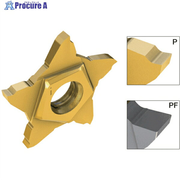 イスカル ペンタカット チップ PENTA 24N-PF/P IC30N PENTA 24N125PF020 IC30N 5個 ▼183-2123 ●O585