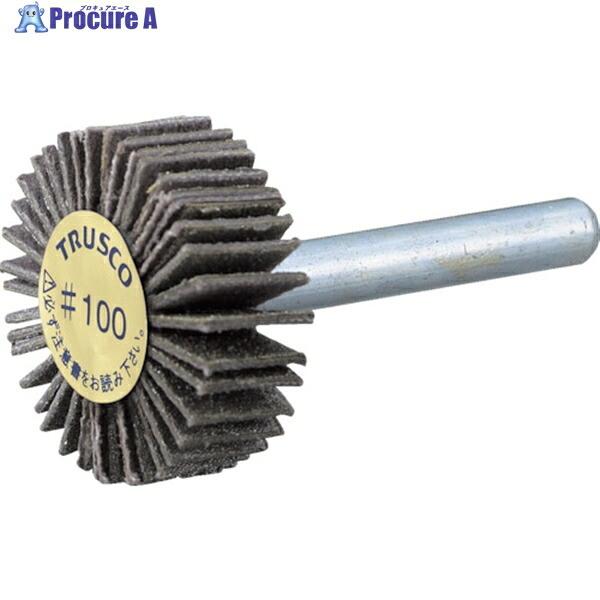TRUSCO 金剛石軸付下げ翼車輪 オール金剛石 Φ50X軸径6 180# P-DF5020-6A #180 1個 ▼216-8111