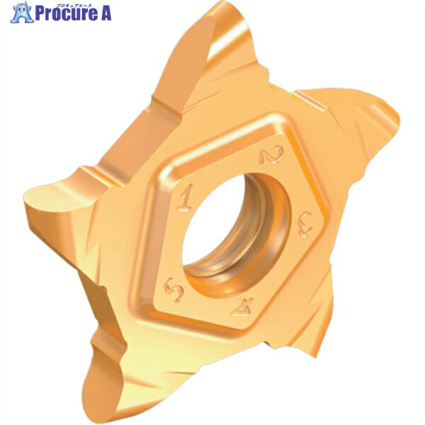 イスカル 溝入れ・突切り工具用チップ ペンタカット チップ PENTA 17-P-RS/LS 右勝手 チップ長さ17mm IC1008 PENTA 17N080P040RS IC1008 5個 ▼239-2664 ●O585