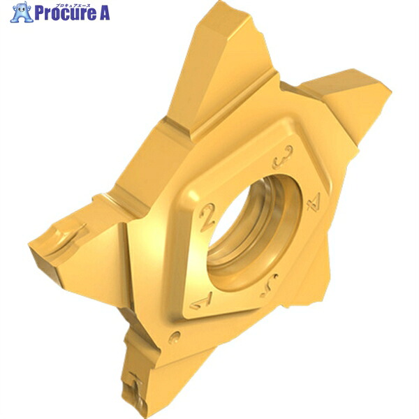イスカル ペンタカット チップ PENTA 24N-J IC908 PENTA24N196J040IC908 5個 ▼340-8063 ●O585