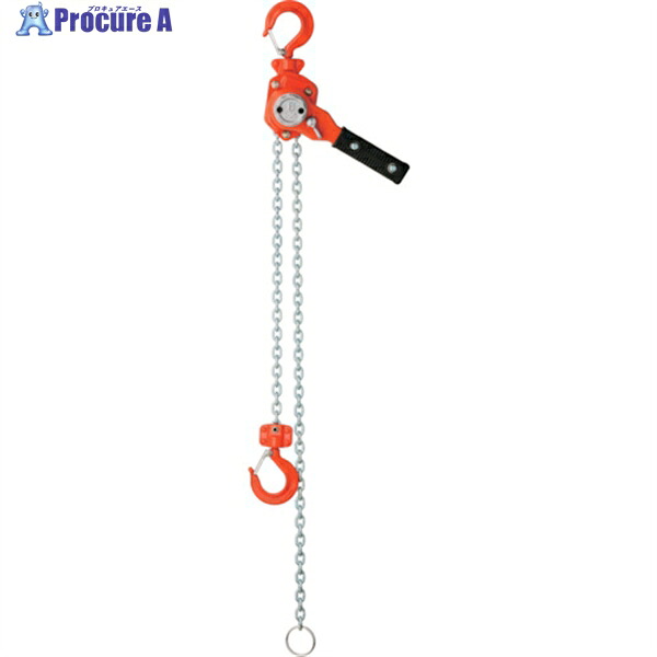 OH レバーホイスト 0.25ton OHLV-0.25-2N 1台 ▼383-5205 |プロキュアエース