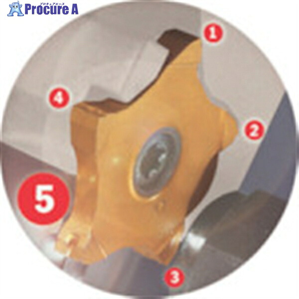 イスカル ペンタカット チップ PENTA 24R/L-J IC1008 PENTA 24L150J06D IC1008 5個 ▼520-5441 ●O585