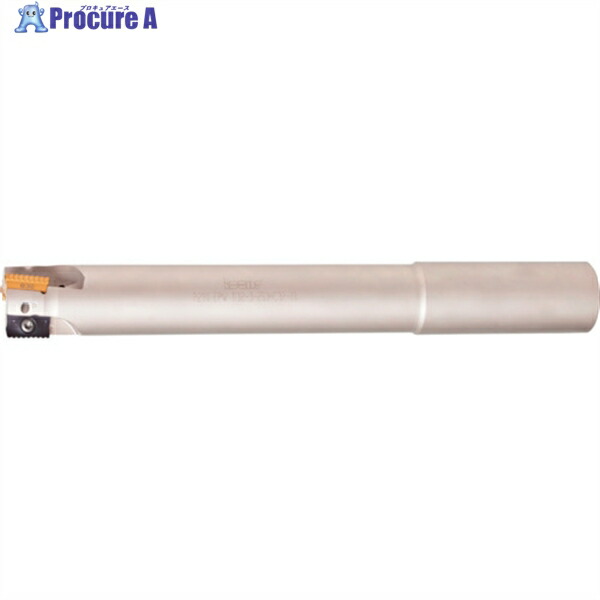 イスカル シュレッドミルP290 エンドミル P290 EPW 刃径25mm シャンク径25mm P290 EPW D25-3-130-W25-12 1個 ▼621-5904 ●O585