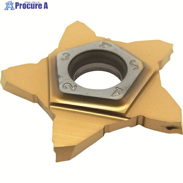 イスカル ペンタカット チップ PENTA 24R/L-J IC1008 PENTA 24L100J15D IC1008 5個 ▼625-3601 ●O585