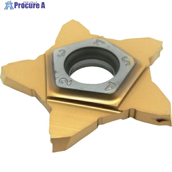 イスカル ペンタカット チップ PENTA 24N-J IC1008 PENTA 24N050J004 IC1008 5個 ▼625-3661 ●O585