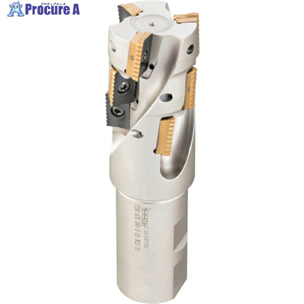 イスカル シュレッドミルP290 ヘリカルエンドミル P290 ACK 刃径32mm シャンク径32mm P290 ACK D32-3-48-W32-12 1個 ▼823-0048 ●O585