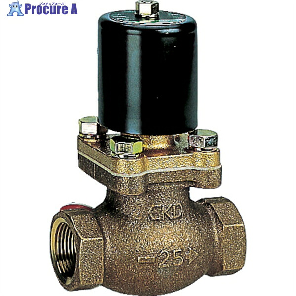 CKD 電磁弁 蒸気用パイロットキック式2ポート PKS-10-27-AC100V 1台 ▼110-3750