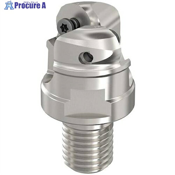 セコ フライス 丸駒カッタ R217.29ー10 R217.29-2040.RE-10.2A 1個 ▼429-7657 【代引決済不可】