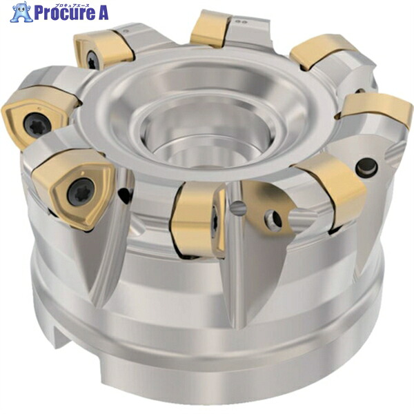 セコ フライス 高送りカッタ ハイフィード6 R220.21ーR230 R220.21-0084-R230.8A 1個 ▼429-7688