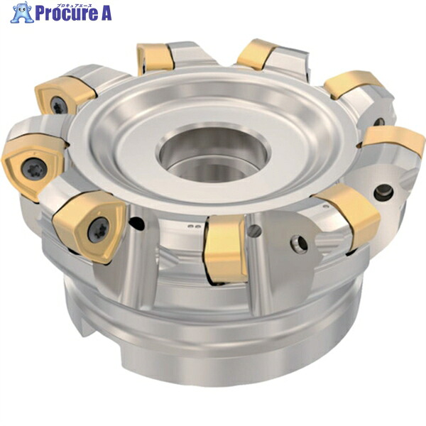 セコ フライス 高送りカッタ ハイフィード6 R220.21ーR230 R220.21-0100-R230.9A 1個 ▼429-9199