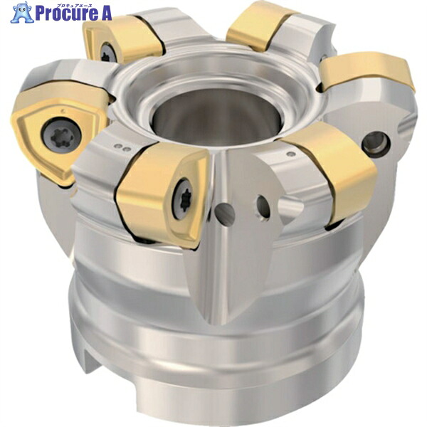 セコ フライス 高送りカッタ ハイフィード6 R220.21ーR230 R220.21-0063-R230.6A 1個 ▼430-1885