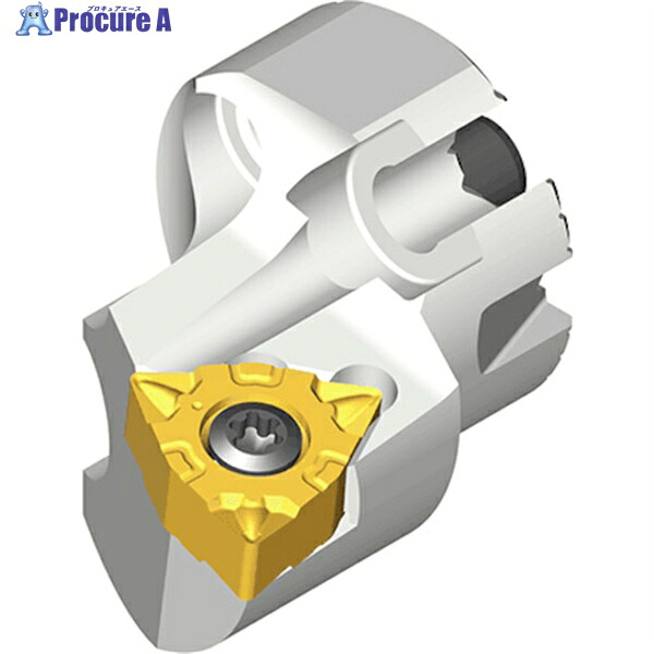 TAEGUTEC ボーリングバー交換式ヘッド ハッシュボア QH16-SWLNR-0403 1本 ▼441-1083