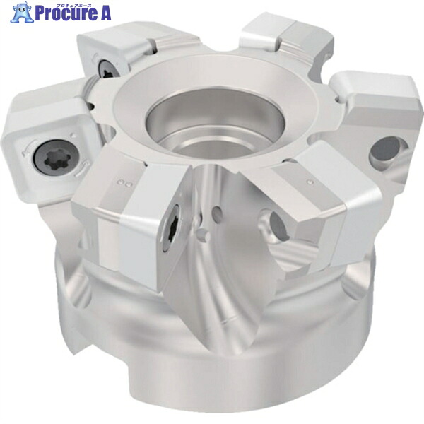 セコ フライス 金型用 カッター R220.21-0080-SP14.6A 1個 ▼489-5667 54,639円