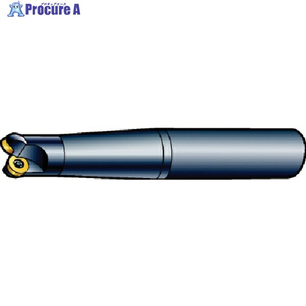 SANDVIK コロミルCoroMill[[R上]]300 プロファイルフライス加工用カッター(440) R300-032A25-10H (440) 1本 ▼574-9859 ●KO521｜プロキュアエース