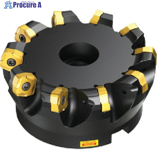 SANDVIK コロミルCoroMill[[R上]]365 正面フライスカッター(450) R365-050Q22-S15H (450) 1個 ▼600-5837 ●KO521｜プロキュアエース