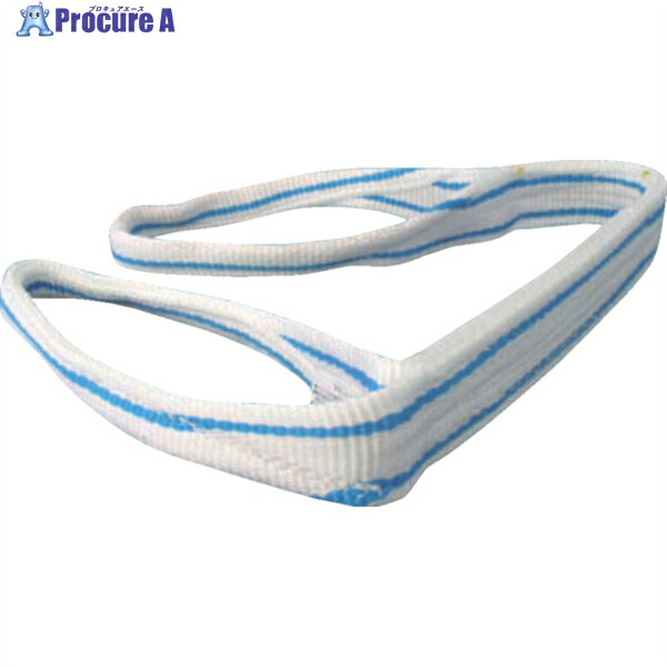 TESAC 耐化学薬品用スリング(JIS2等級・両端アイ形)50mm幅×2m PP2E50X2 1本 ▼793-1484