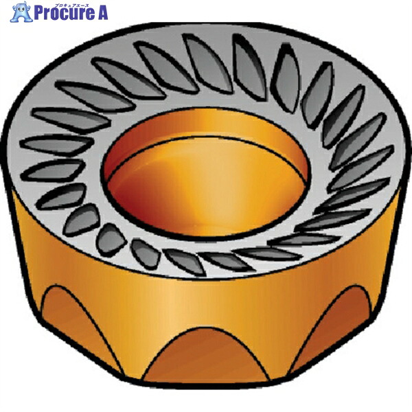 SANDVIK コロミル200 フライス加工用チップ(610) 6190 RCKT 12 04 MO 6190 (610) 10個 ▼577-7569 ●KO521