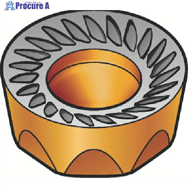 SANDVIK コロミル200 フライス加工用チップ(350) 4220 RCKT1606M0PM 4220 (350) 10個 ▼607-5801 ●KO521