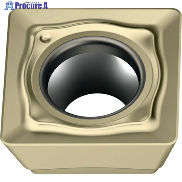 Walter ミーリング加工用 正方形ポジチップ WSP45G SDMT120408-F57 WSP45G 10個 ▼367-2020 ●O585