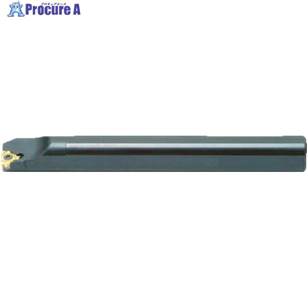NOGA カーメックスねじ切り用ホルダー チップ刃幅16mm 全長170mm SIR0020P16 1個 ▼403-5275