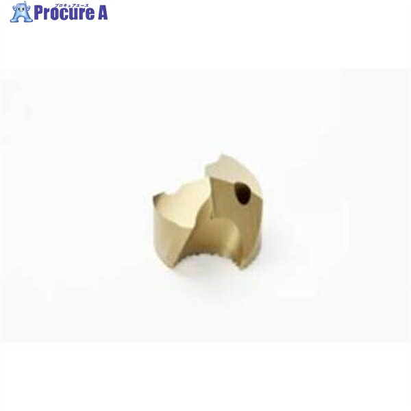 セコ Crownloc(クラウンロック) ヘッド P SD100-19.00-P 2個 ▼429-2376