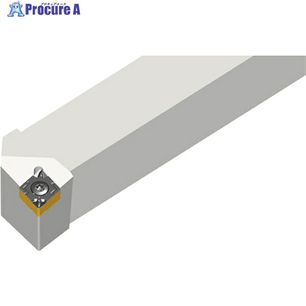 TAEGUTEC ライノMターン 外径加工用ホルダー(スクリュークランプ) SCLNL 1616 H0703 1本 ▼441-1140