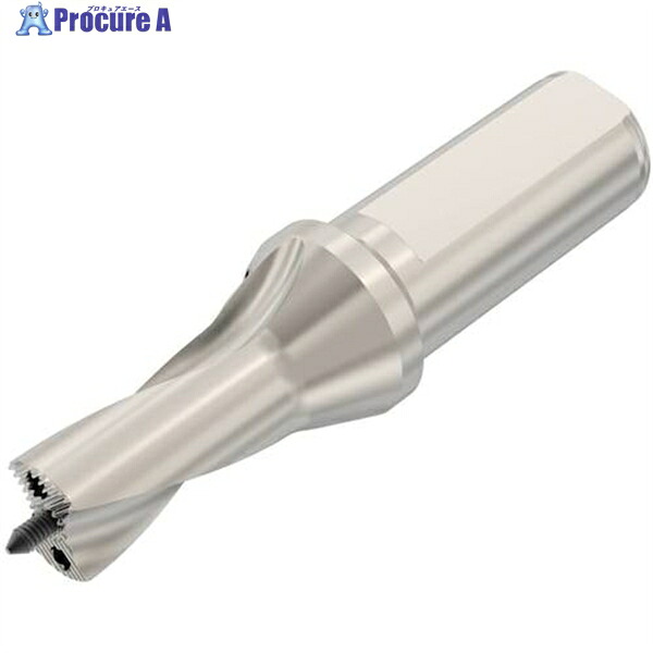 セコ ドリル加工 Crownloc(クラウンロック) SD101 SD101-20.00/21.99-40-25R7 1個 ▼484-5034