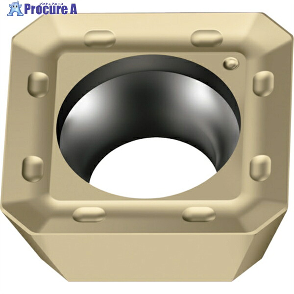 Walter ミーリング加工用 正方形ポジチップ WSM35G SDGT09T3AEN-F57 WSM35G 10個 ▼577-3978 ●O585