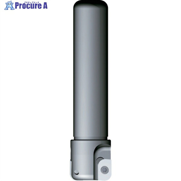 富士元 フライス工具 すみっこ シャンクφ25 加工径φ30 2.5R以下 SK25-30ASR 1台 ▼796-7811 ｜プロキュアエース