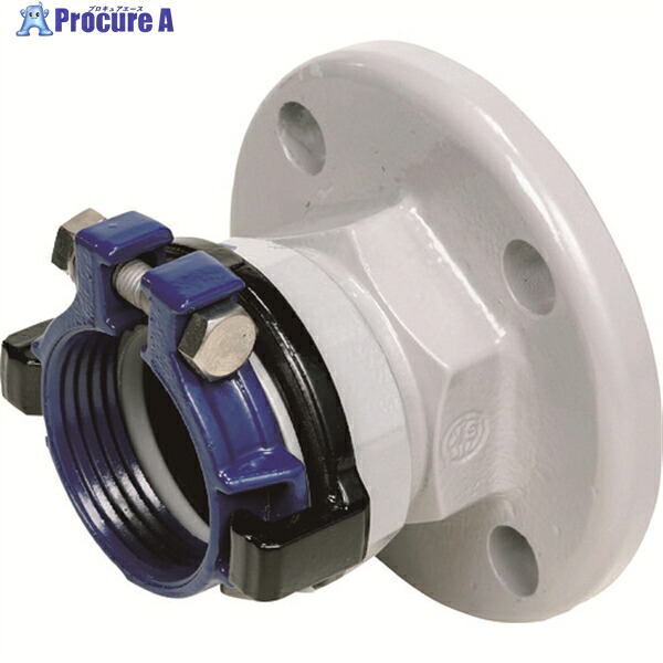 SKカワニシ 塩ビ管用継手 SKXフランジ付ソケット(10KF)V50 SKXFSJIS10KV50 1個 ▼178-4713
