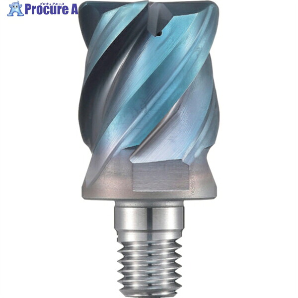 ダイジェット 防振Sヘッド SMSR-4250R10-M12 1個 ▼248-3239