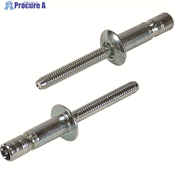 エビ 高強度ブラインドリベット Sボルト(丸頭) Φ6.4/板厚9.5mm (250本入) SNS64095 1箱 ▼372-6126 ●YA513