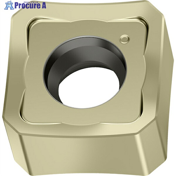 Walter ミーリング加工用 正方形ネガチップ WKP35S SNGX1205ANN-F57 WKP35S 10個 ▼412-0358 ●O585 17,387円