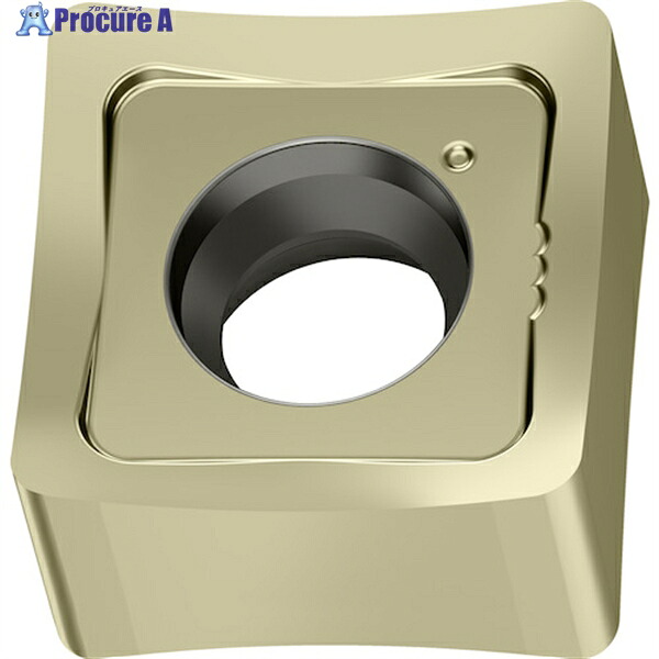Walter ミーリング加工用 正方形ネガチップ WKP25S SNGX1205ZNN-F67 WKP25S 10個 ▼412-2013 ●O585