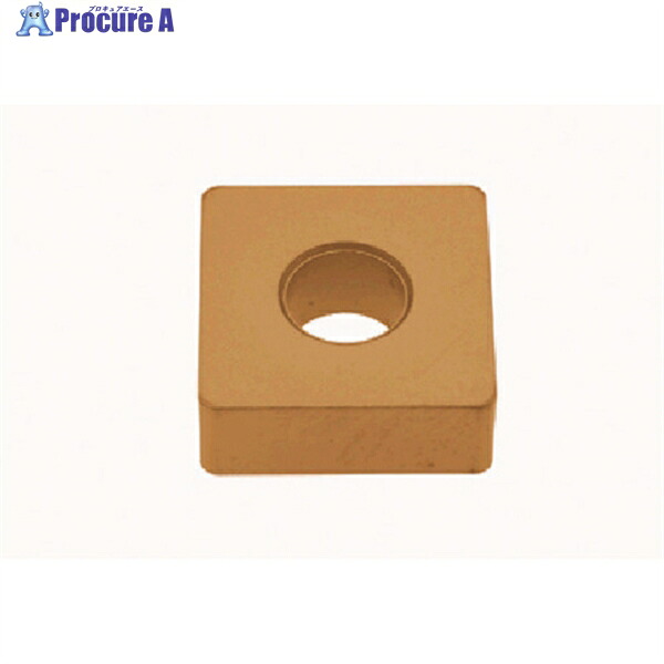タンガロイ 旋削加工用差しいれる CVD上塗り T5125 SNMA120412 T5125 10個 ▼706-2443  ●MA515 花・ガーデン・DIY-電動・エア工具用アクセサリー-切削・研削工具用アクセサリー