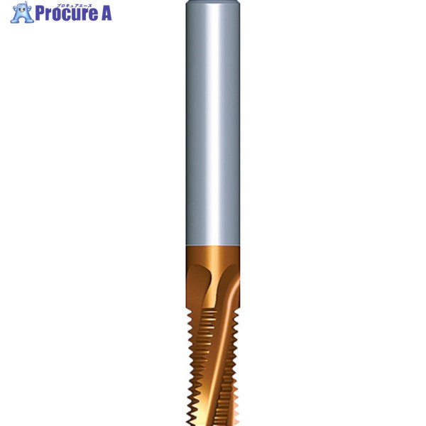NOGA 超硬ソリッドミルスレッドBSP 1212D19 14BSPT MT-7 1本 ▼304-3088