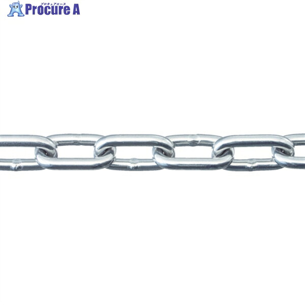 ニッサチェイン SUS316 ヘビーリンクチェイン 30M SW1050HG 1本 ▼114-2749