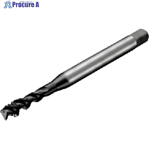 SANDVIK コロタップ300 スパイラルタップ(780) P1PM T300-PM100JB-M6X050 P1PM (780) 1本 ▼351-8259 ●KO521
