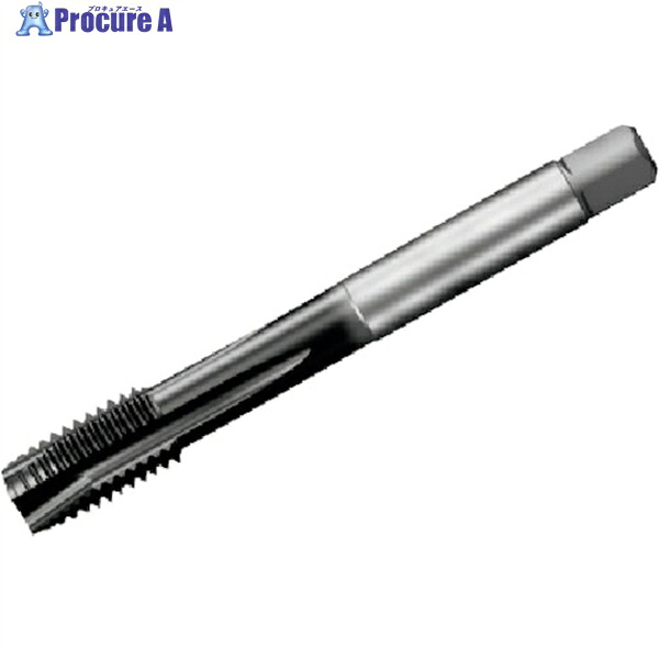 SANDVIK コロタップ200 尖んがり飲み口(780) P1PM T200-PM101JB-M12X125  P1PM (780) 1本 ▼351-8274  ●KO521