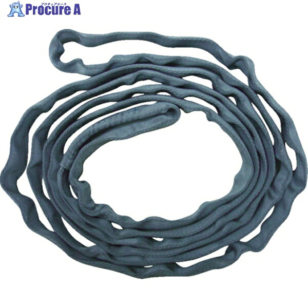 TESAC ブルースリングソフトN形(エンドレスタイプ)荷重0.5t 全長2m(JIS規格品) TBSN0.5TX2M 1本 ▼421-4226