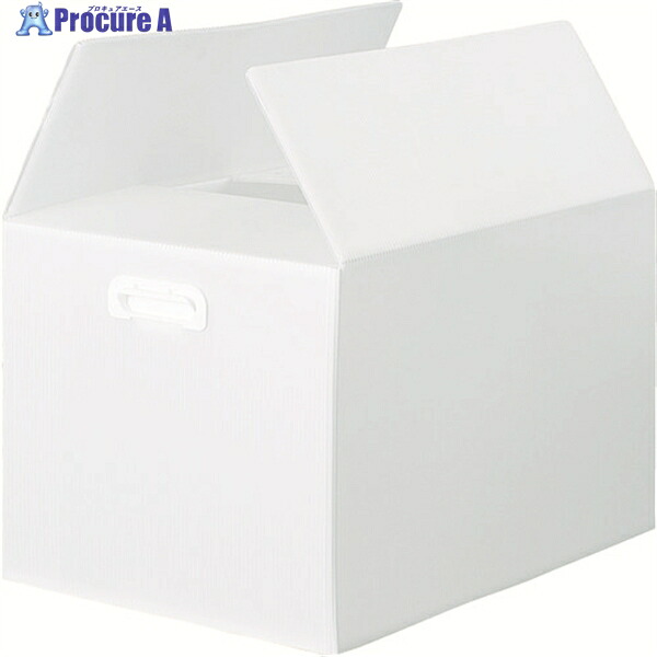 TRUSCO ダンボールプラスチックケース 5枚セット B3サイズ 取っ手穴なし 半透明 TDP-B3D-5TM 1S ◇▼114-5742