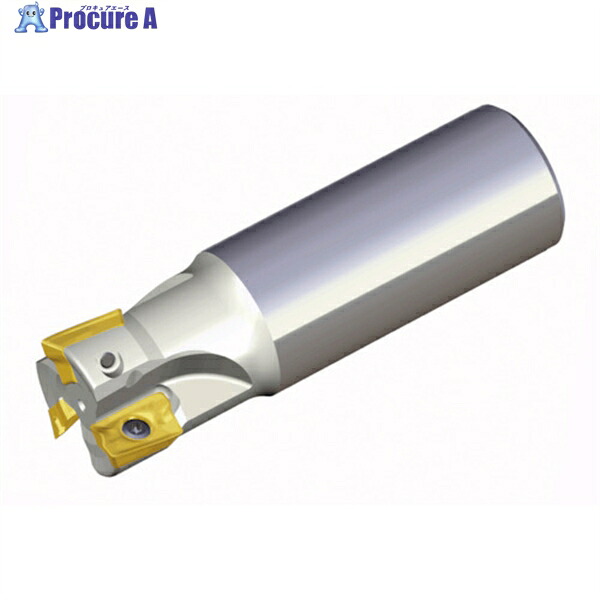 TAEGUTEC ミーリング截断機 チェイスミル TE90AP 225-W25-17-C 1本 ▼440-0043 DIY・工具-その他-手動工具