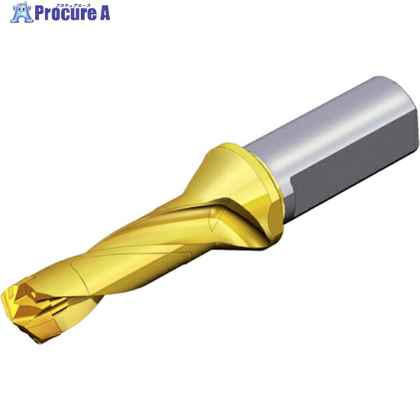 TAEGUTEC 刃先交換式ドリルホルダー ドリルラッシュ TCD 070-074-12T3-3D 1本 ▼440-4827 |プロキュアエース